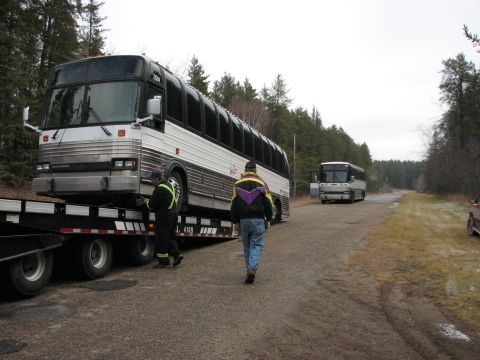 busses being unloaded