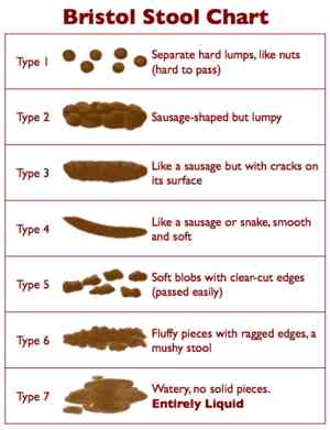 Stool chart